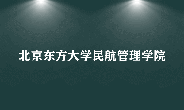 北京东方大学民航管理学院