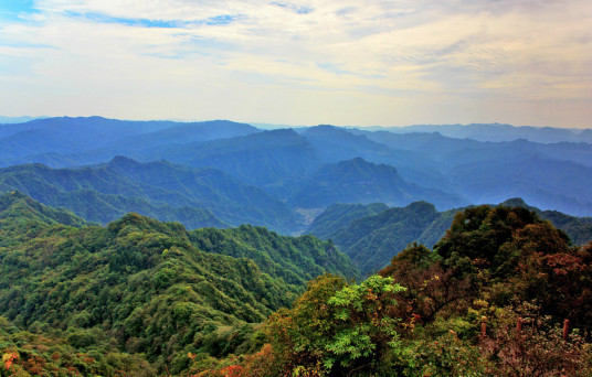 黄水森林公园