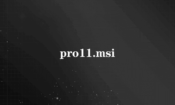 pro11.msi