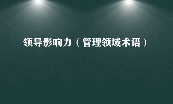 领导影响力（管理领域术语）