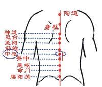 中枢（医学名词）