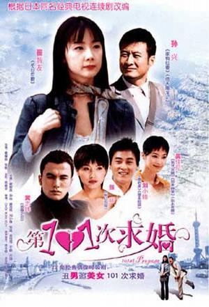 第101次求婚（2004年崔智友孙兴主演的电视剧）