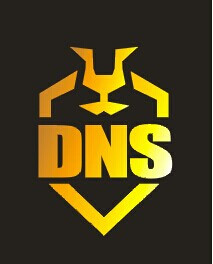 DNS盾