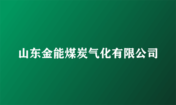 山东金能煤炭气化有限公司