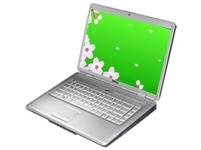 戴尔Inspiron 1525