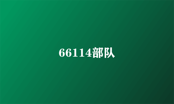 66114部队