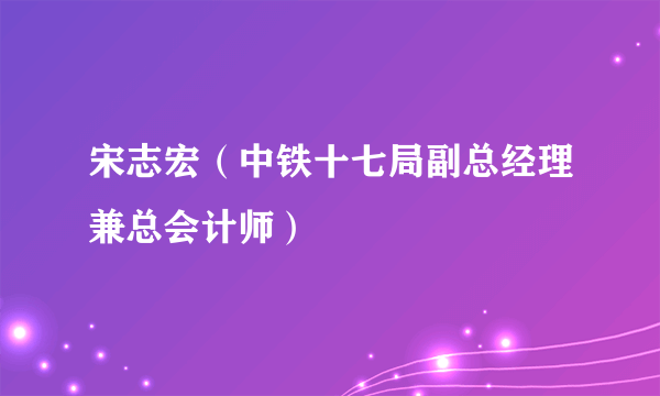 宋志宏（中铁十七局副总经理兼总会计师）