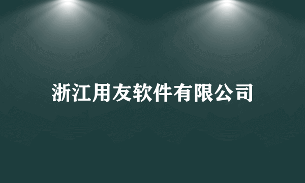 浙江用友软件有限公司