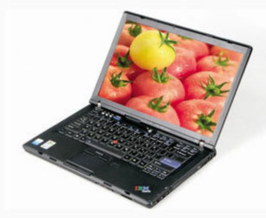 ThinkPad Z60t 251218C