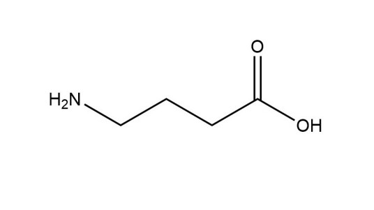 γ-氨基丁酸