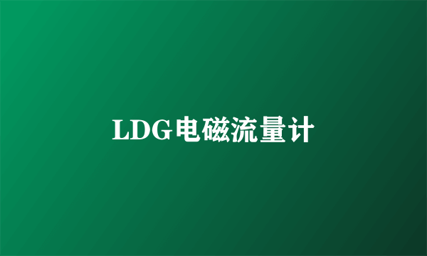 LDG电磁流量计