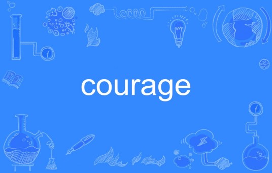 courage（英语单词）