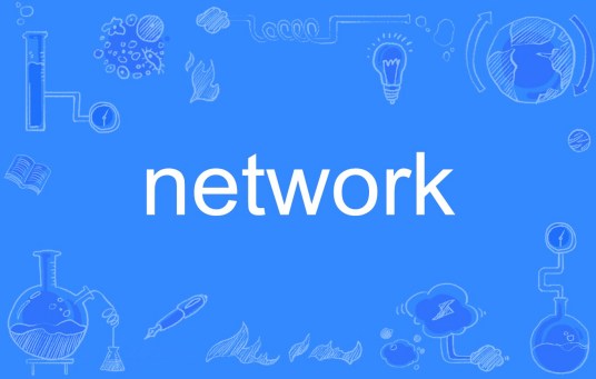 network（英文单词）