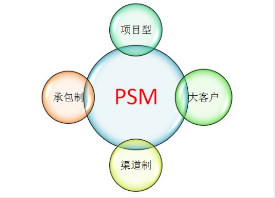 PSM（软件模型）