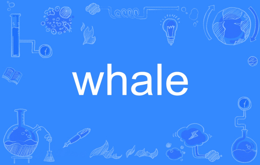 whale（英语单词）