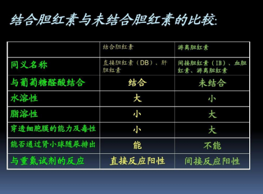 间接胆红素