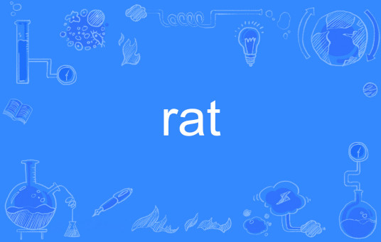 rat（英语单词）