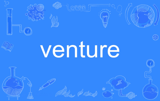 venture（英语单词）