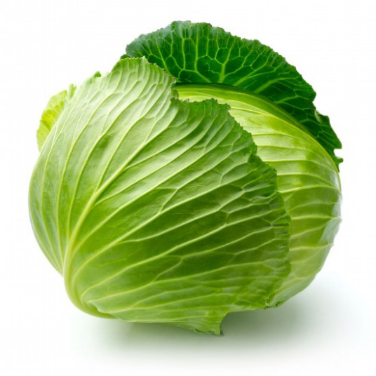 cabbage（卷心菜）