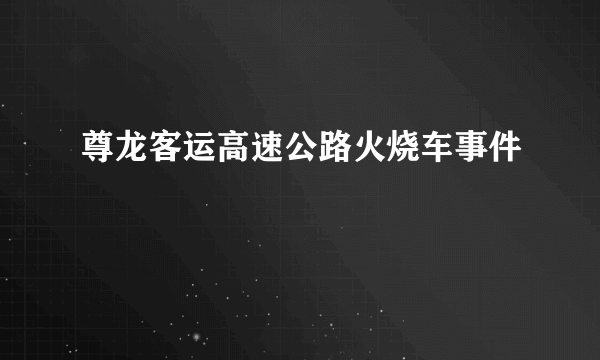 尊龙客运高速公路火烧车事件