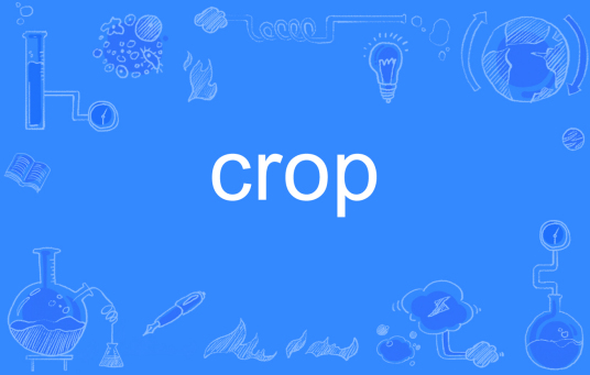 crop（英文单词）