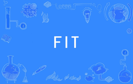 FIT（英文单词）