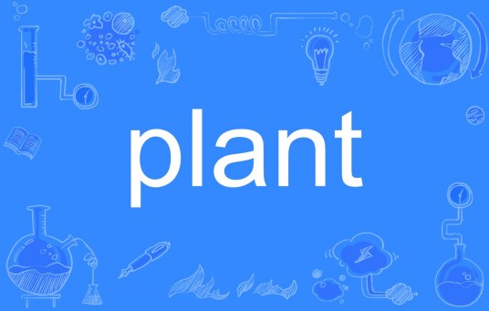 plant（英语单词）