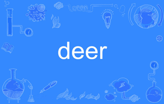 deer（英语单词）