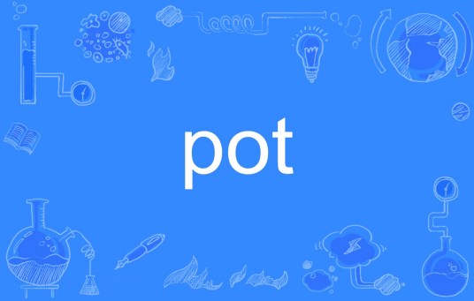 POT（英文单词）