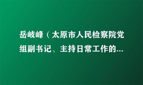 岳岐峰（太原市人民检察院党组副书记、主持日常工作的副检察长）