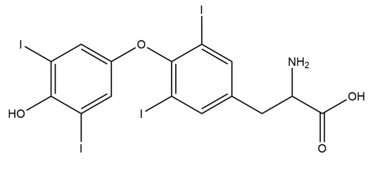 甲状腺素