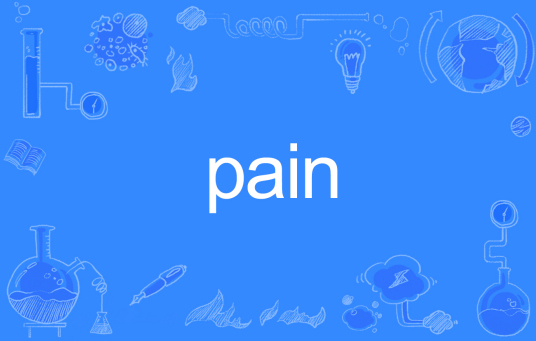 pain（英文单词）