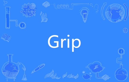 Grip（英文单词）