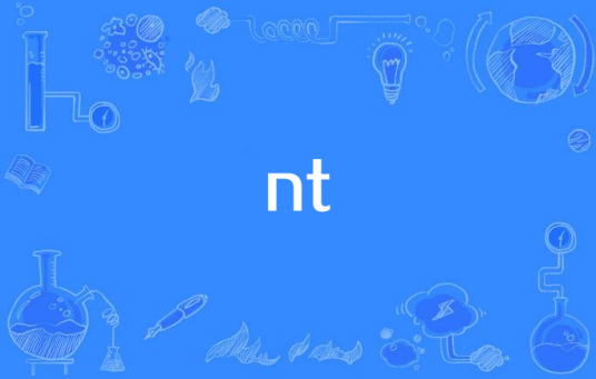 nt（英文缩写）