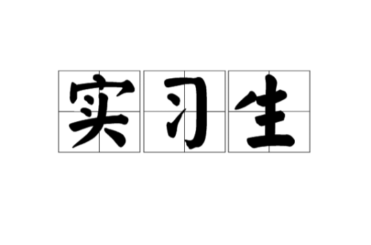 实习生（企业非正式雇佣的，学习实际工作经验的员工）