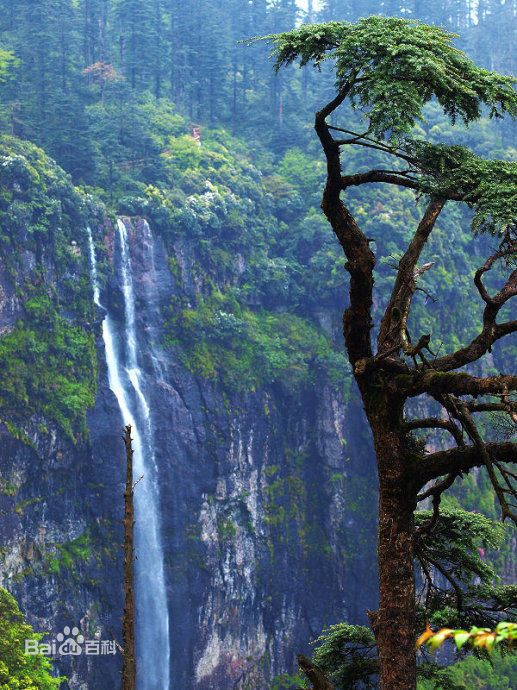 蜀山（四川省眉山市蜀山）