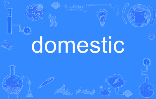 Domestic（英文单词）