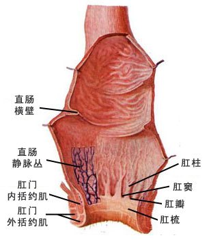 结肠直肠癌