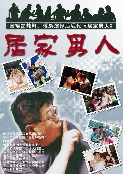 居家男人（2004年方刚亮执导电视剧）