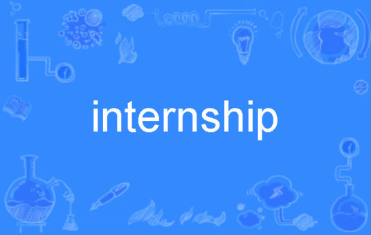 internship（英语单词）