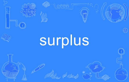 surplus（英语单词）