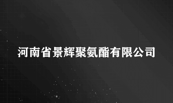 河南省景辉聚氨酯有限公司