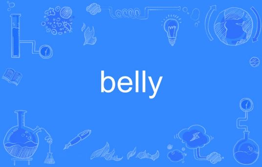 belly（英语单词）