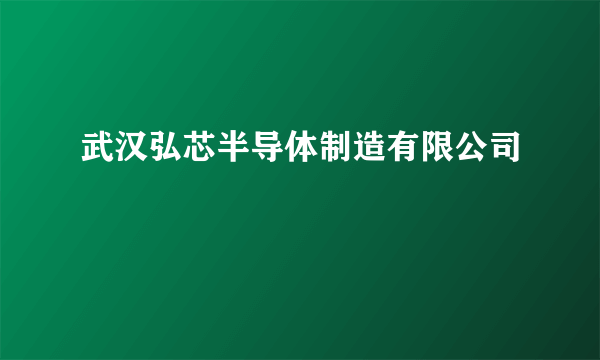 武汉弘芯半导体制造有限公司