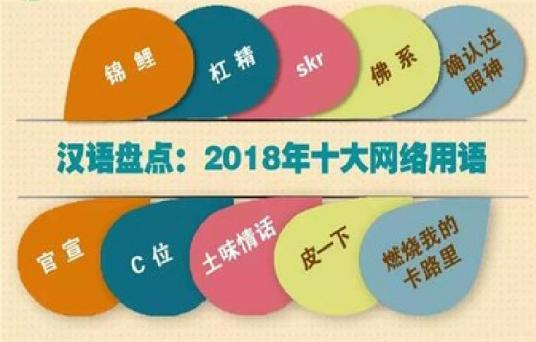 2018年度十大网络用语