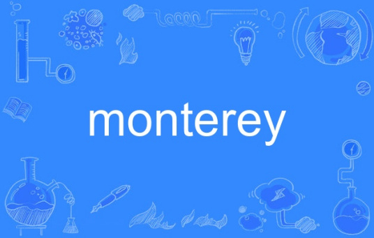 monterey（英语单词）