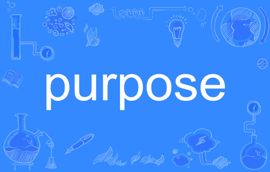 purpose（英文单词）