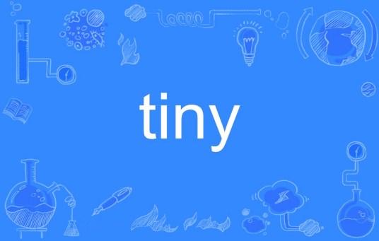 Tiny（英文单词）