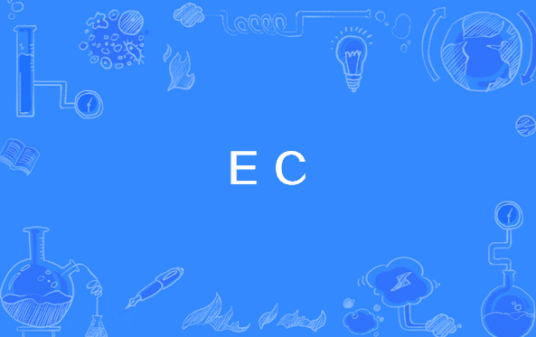 EC（安全代码）