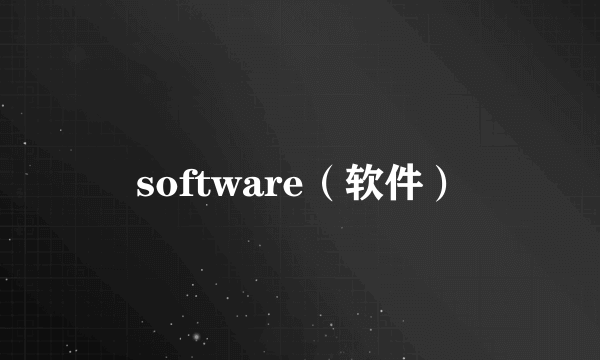 software（软件）